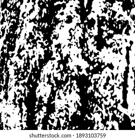 Moss on a tree trunk. Design element. Background texture, vector illustration. 