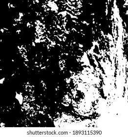 Moss on a tree trunk. Design element. Background texture, vector illustration. 