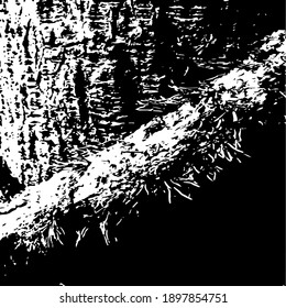 Moss on a tree trunk. Design element. Background texture, vector illustration. 