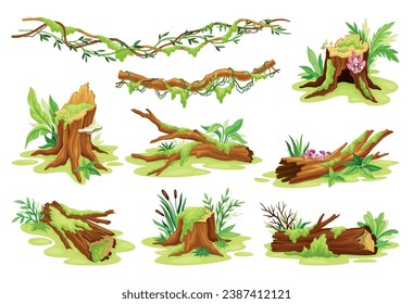 Moss plant with roots Royalty Free Vector Image