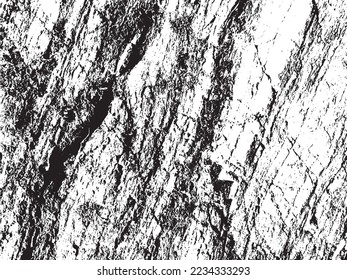 moss stone texture vector on white isolated background