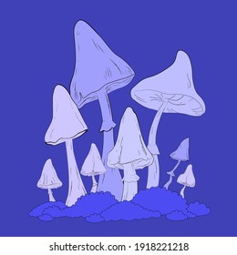 Moss and violet magic mushrooms