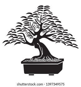 The most beautiful bonsai tree