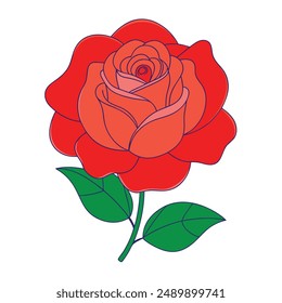 Most beautiful red rose vector design.
