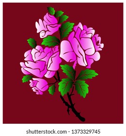 The most beautiful roses