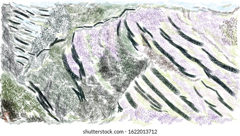 the most beautiful terraced fields 