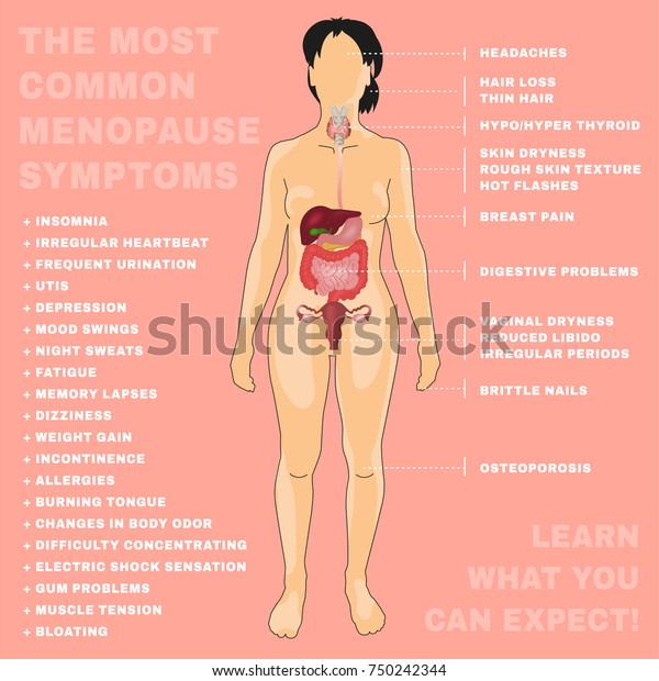 Most Common Menopause Symtoms Menopause Infographic Stock Vector