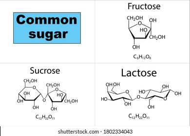 Azúcares más comunes, Fructosa, Sacarosa y Lactosa con fórmula química y con sus nombres. 