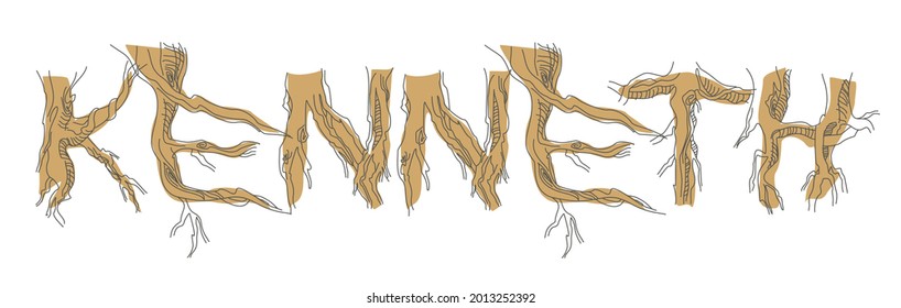 The most famous male name is Kenneth. Decorative font with tree roots. Eco design of forest letters.