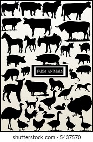 most of farm animal (vector)