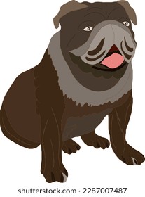 The most good breed of dogs is the Bulldog in brown color and chunky meat
