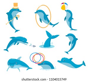 The most intelligent animal is the dolphin he plays with people and rolls them on himself