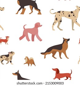 Most popular dog breeds seamless pattern. Ornament with Poodle, German shepherd, bulldog, doberman, dachshund and Great Dane cute pets on repeating background for prints, textiles and fabric designs.