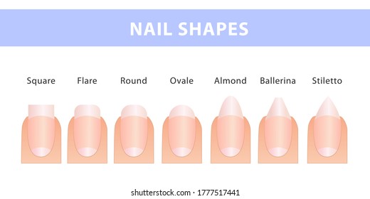 Most Popular Forms Nails Different Types Stock Vector (Royalty Free ...