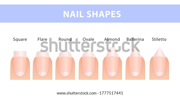 Most Popular Forms Nails Different Types Stock Vector (Royalty Free ...