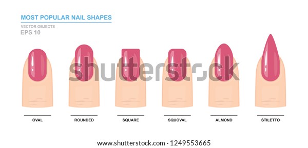 Most Popular Nail Shapes Different Kinds Stock Vector (Royalty Free ...