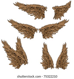 most popular set of  wings isolated