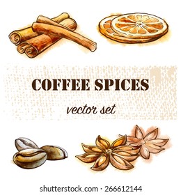 Most popular spices used for seasoning a good coffee. Traced watercolor sketch with a line drawing in separate layers. Isolated against white background. EPS10 vector illustration.