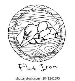 Most Popular Steak Flat Iron on a Round Wooden Cutting Board. Beef Cut. Meat Guide for Butcher Shop or Steak House Restaurant Menu. Hand Drawn Illustration. Savoyar Doodle Style.