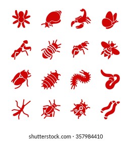 The most popular terrarium insects as glyph icons / There are typical terrarium insects like snail, spider and ant
