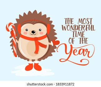The most wonderful time of the year - Hand drawn vector illustration with cute hedgehog with candy cane. Winter color poster. Good for posters, greeting cards, banners, textiles, gifts, shirts, mugs.