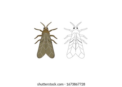 Paquete de ilustración para vectores de dibujos animados de polilla