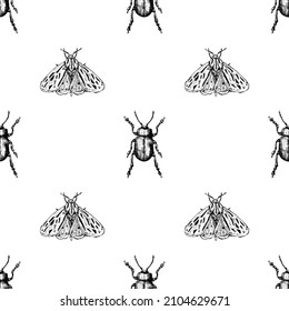 Moth and bettle hand drawn. Seamless pattern.