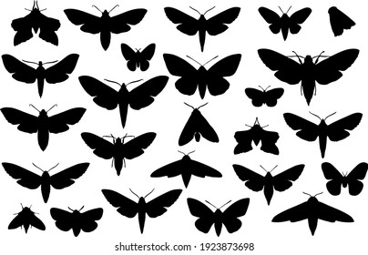 Moth black silhouettes. Basis graphics on white background