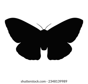 Silhouettes negro de polilla. Gráficos básicos sobre fondo blanco.
