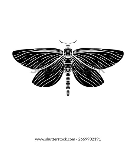 moth in black and white isolated on white background. black and white butterfly