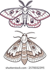 Moth bundle design art and illustrator eps