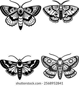 Moth bundle line art and illustrator eps