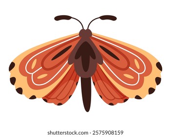 Moth or butterfly in boho style. Brown and orange colors. Natural tones.Design for poster, card