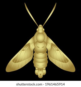 Moth butterfly. Hummingbird clearwing. Hemaris Thysbe. Golden glossy silhouette on black background.