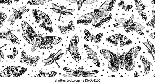 Moth butterfly pattern 