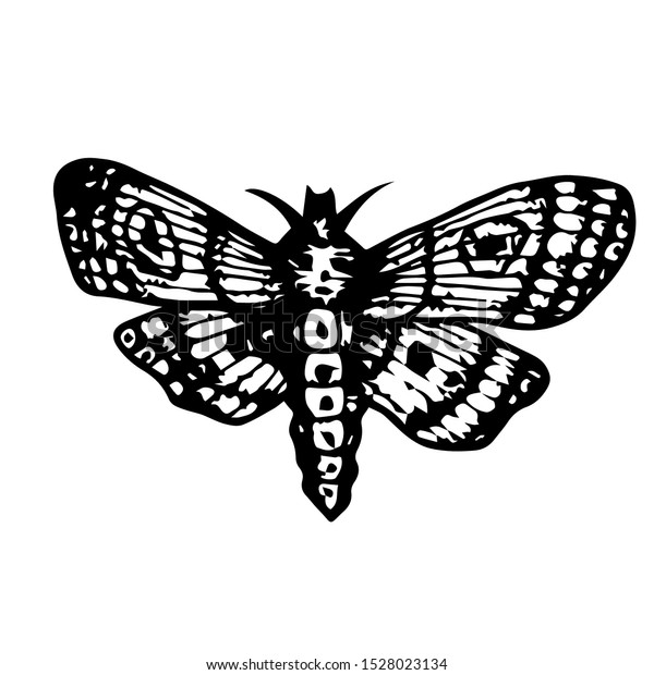 蛾 蝶の簡単な手描きのイラスト 分離型ベクタークリップアート のベクター画像素材 ロイヤリティフリー