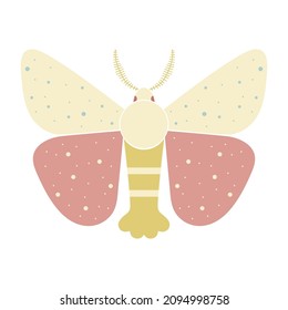 Moth of butterfly view from above. Decorative design. Geometric insect vector illustration in flat style