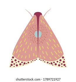 Moth or butterfly view from above. Isolated insect cartoon vector illustration in flat style