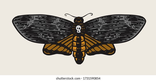 Moth or butterfly. Vintage Retro night-fly or mole. Hand drawn engraved monochrome sketch for labels or posters, tattoo or t-shirts. Mystical or alchemy astrology symbol. 