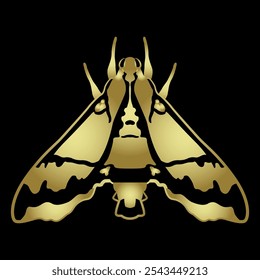 Moth Cizara sculpta. Beautiful Sphingida butterfly with spotted winged. Insect animal design. Golden glossy silhouette on black.