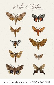 Moth Collection, Hand Draw Sketch Vector.