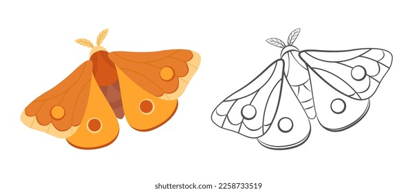 Ilustración y contorno de color de polilla. Caricatura simple ilustración de la mariposa nocturna. Icono plano de insecto volador vectorial. Concepto de logotipo.