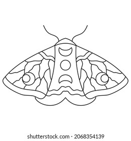 Moth coloring page. Adult coloring book. Vector illustration.