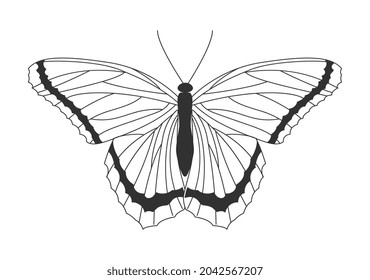 Moth with curved wings. Simple butterfly silhouette with lines and dark stripes. Minimalistic template for stickers and social networks. Cartoon flat vector illustration isolated on white background