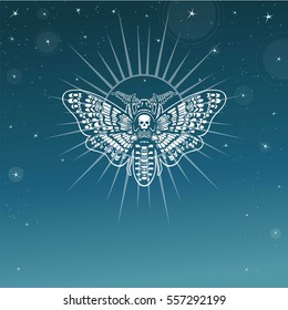 Moth Dead Head. Esoteric symbol. A background - the night star sky. Vector illustration. Print, posters, t-shirt, card. 