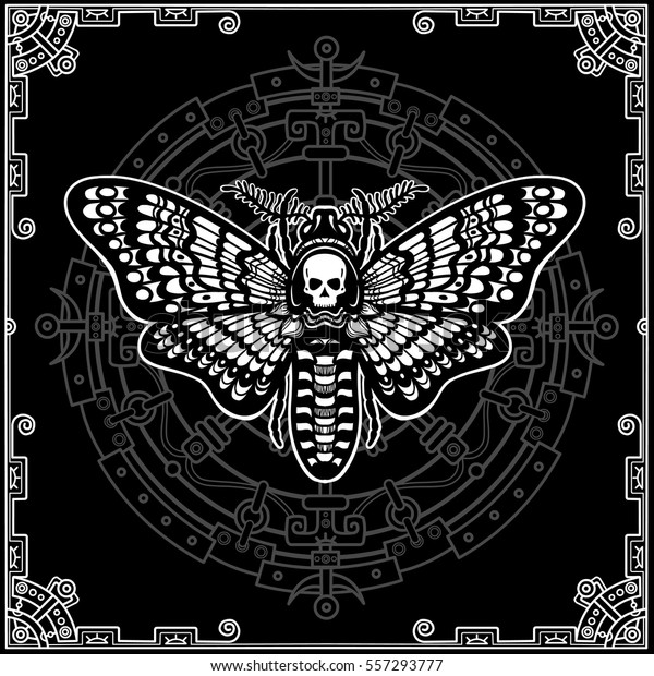 Moth Dead Head Esoteric Symbol Black Stock Vector (Royalty Free) 557293777
