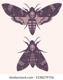 The moth is a Death's Head with folded and spread wings. Design set. Hand drawn engraving. Editable vector vintage illustration. Isolated on light background. 8 EPS