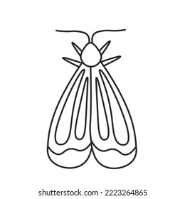 Moth doodle line art vector illustration. Simple insect print. Outline butterfly silhouette isolated on white background