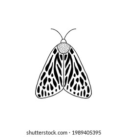 Moth in doodle style isolated on white background.
