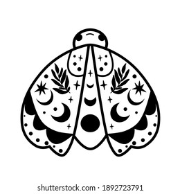 Moth drawing isolated illustration. Black celestial moth. Cute insect butterfly. Flyig moon design. Graphic element, Hand drawn moth tatoo, childish style, astrology symol, logo. Simple vector.